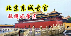 免费干体操服美女h文中国北京-东城古宫旅游风景区